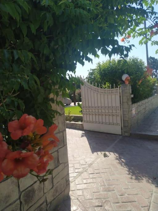 Greek Style Ground Floor Apartment & Pool Ialisos Exterior foto